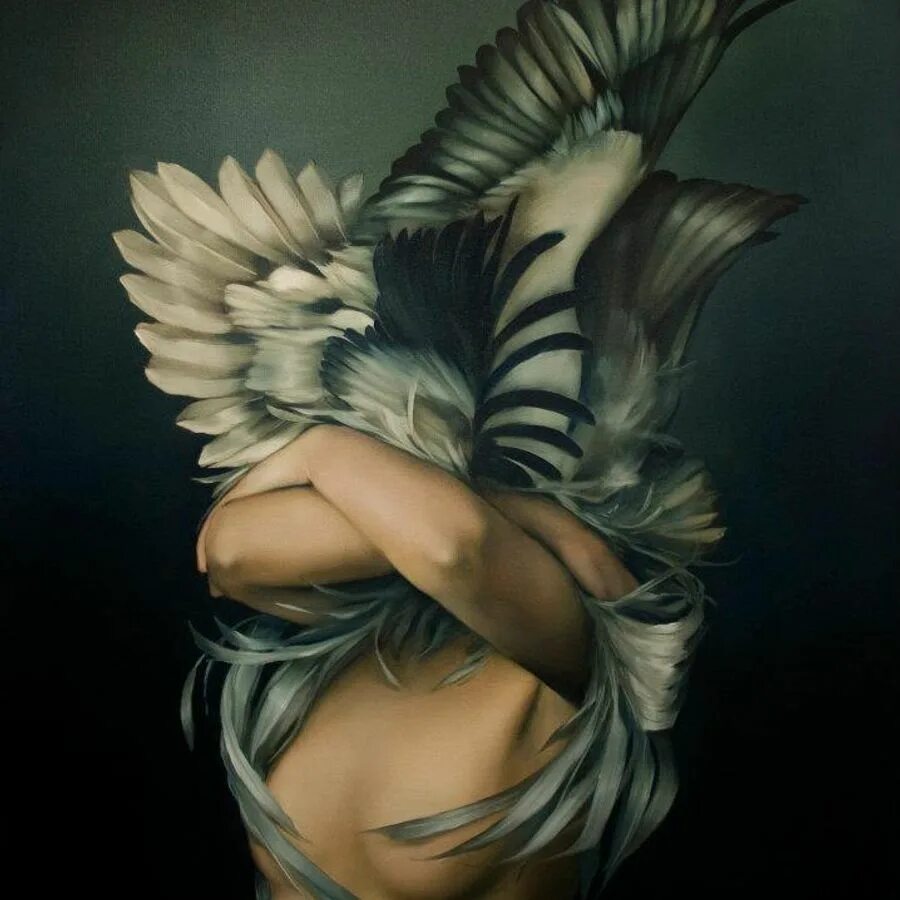 Эми джадд художница. Эми джадд amy judd. Картина девушка крылья. Красивые девушки с крыльями. Картина девушка крылья.