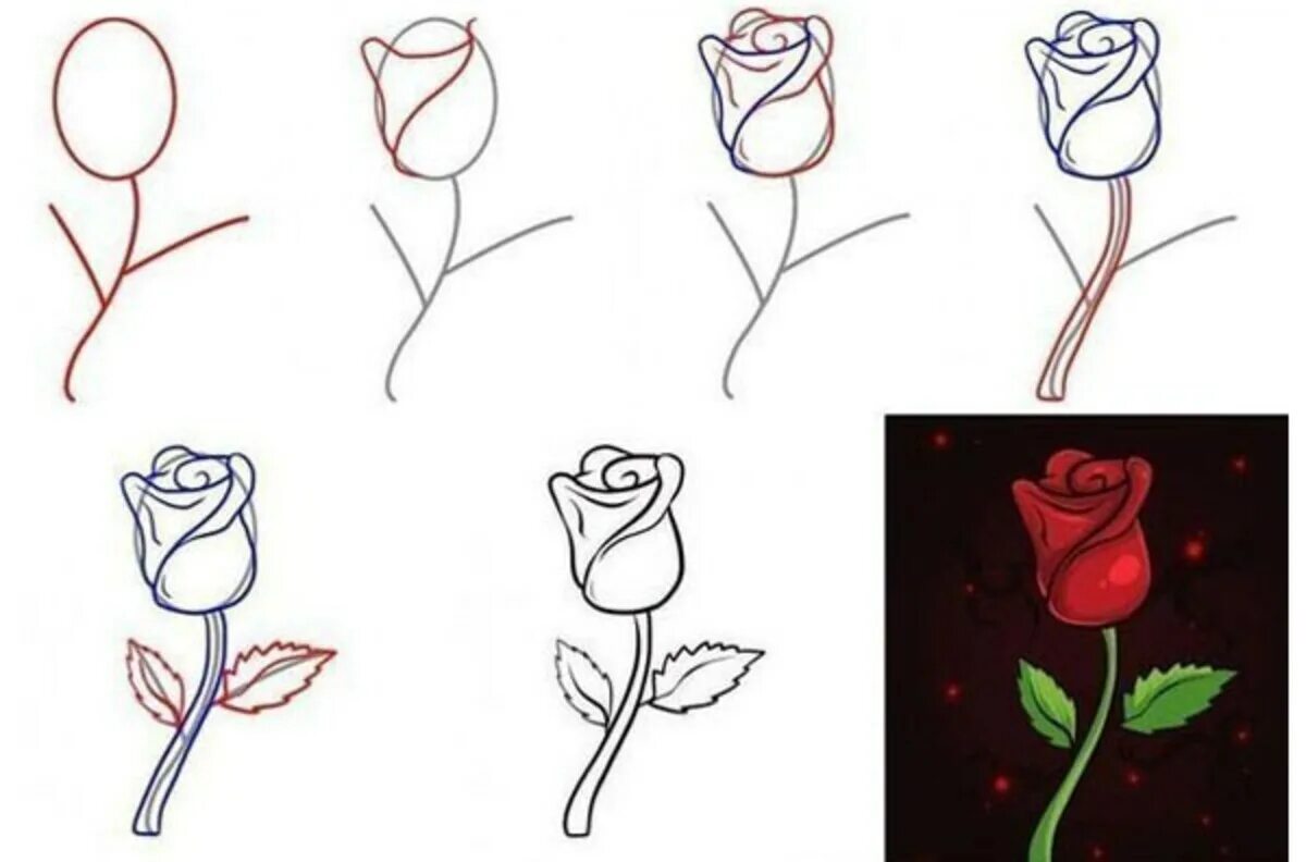 Можно научиться легко. Нарисовать розу поэтапно. Как нарисовать розу поэтапно карандашом. Поэтапное рисование розы карандашом.
