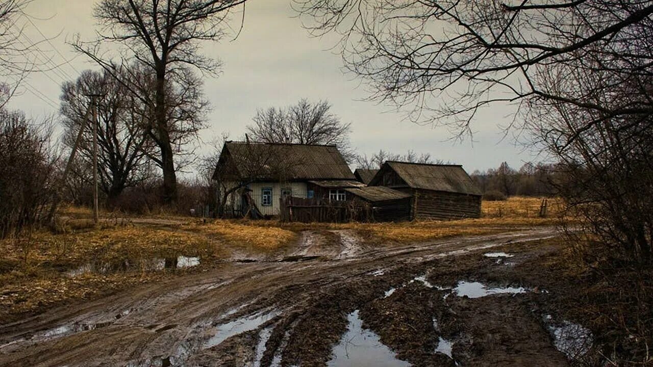 Деревня захолустье Псковская область. Захолустье (деревня в Псковской области),. Русская деревня захолустье. Поздняя осень в деревне. Пасмурная 21