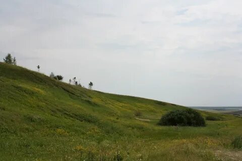 Атемар мордовия