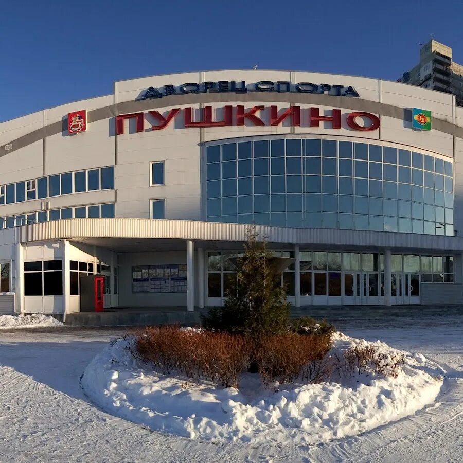 Дворец спорта пушкино фото