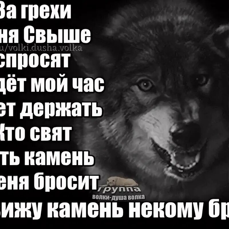 Пусть кинет камень. Я грешник. Пусть первым бросит камень. Кто без греха пусть первый бросит. Пусть первым кинет в меня камень тот.