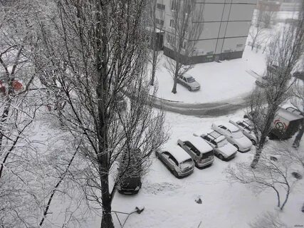 Пагөда на сегодня тольятти