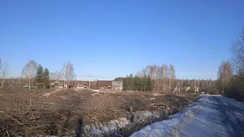 Снт оптимист высокая