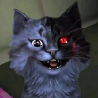 Коте лео