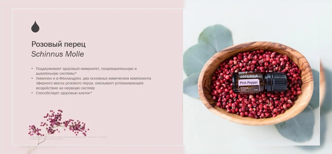 Масло розового перца. Розовый перец дотерра. эфирное масло розовый перец doterra. розовый перец дотерра описание. розовый перец pink pepper дотерра.