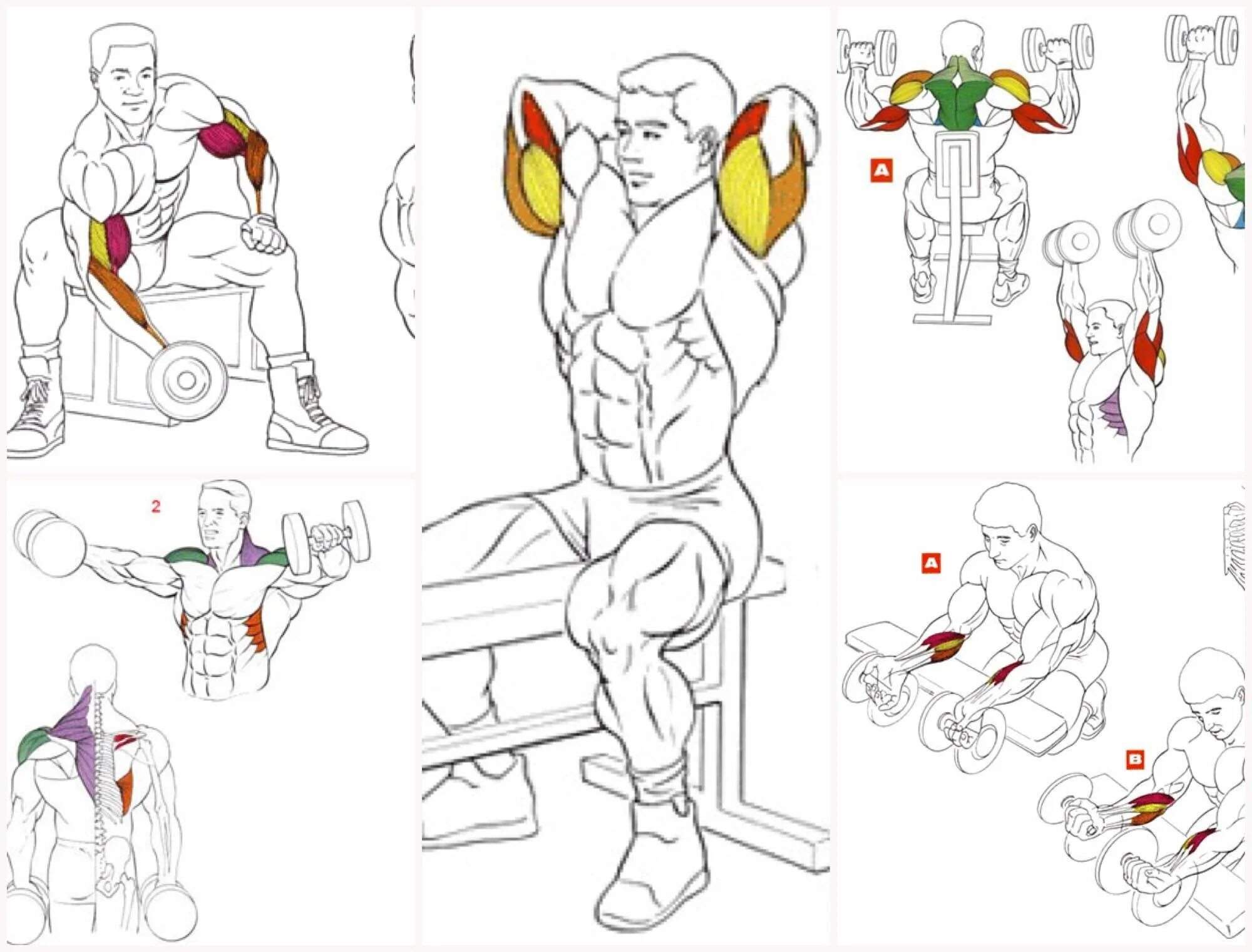 Упражнения с гантелями на бицепс и трицепс. Упражнения для накачки трицепса. Упражнения упражнение бицепс трицепс. Упражнение гантели на бицепс и трицепс.