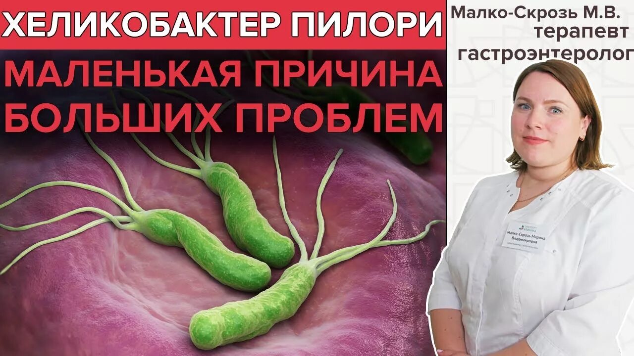 Заболевание хеликобактер пилори симптомы и лечение. Хеликобактериоз симптомы. Бактерия хеликобактер пилори. Хеликобактер пилори симптомы.