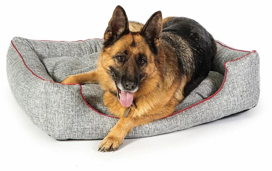 лежанка для крупных пород собак pet lounge. лежанка для крупных пород собак pet lounge. лежанка для собак. лежак для крупных пород. лежак для собак крупных пород.