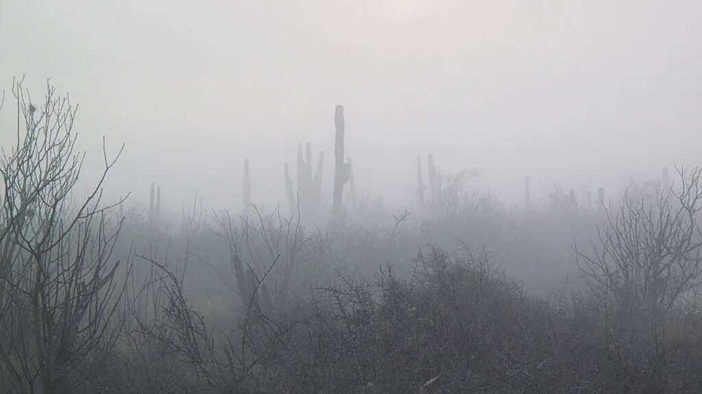The man from fog мод 1.18