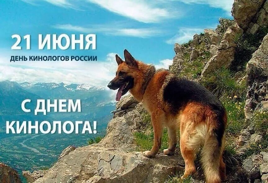 21 июня это. Летнее солнцестояние дата. С днем кинолога. Международный день цветка. 21 июня день солнцестояния.