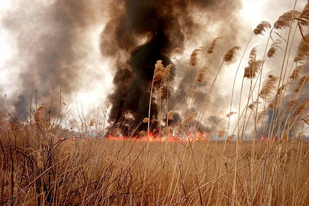 тушение пожара взрывом. пожар в деревне 1941 война. пожарный 19 век россия. пожары в военное время. ).