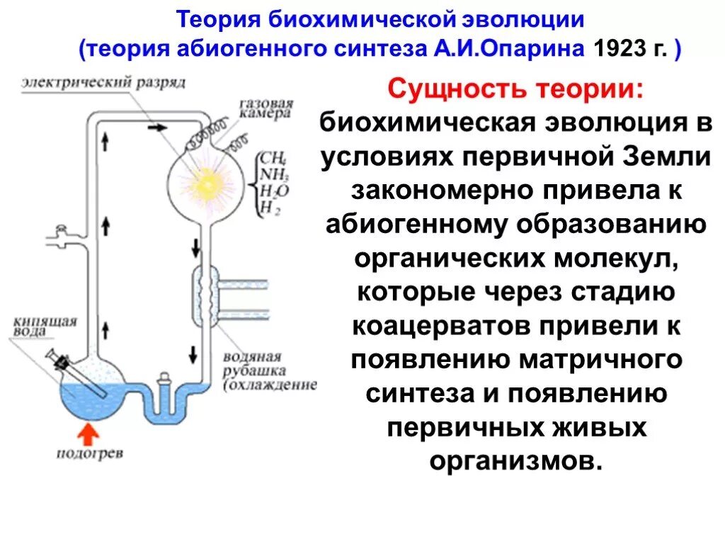 Биохимическая Эволюция Опарина Холдейна. Биохимическая гипотеза Опарина. Теория абиогенного синтеза. Абиогенная теория происхождения жизни на земле Опарина.