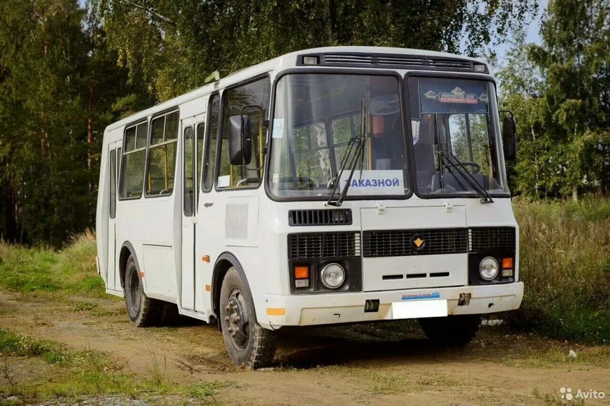 Микроавтобус паз 3205. Паз 32053 пригородный. Паз 3205 пригородный. Паз 240. Паз-3205 автобус.