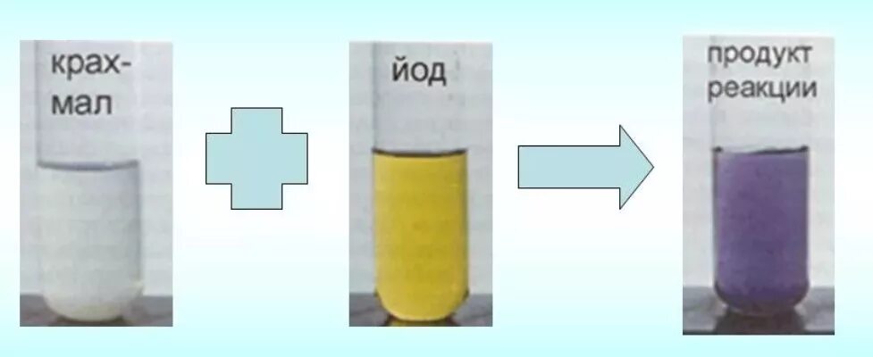 Йод в пробирках. Взаимодействие с йодом качественная реакция на крахмал. Качественная реакция на крахмал с раствором йода. Качественная реакция на крахмал с йодом. Качественная реакция на крахмал с йодом уравнение.