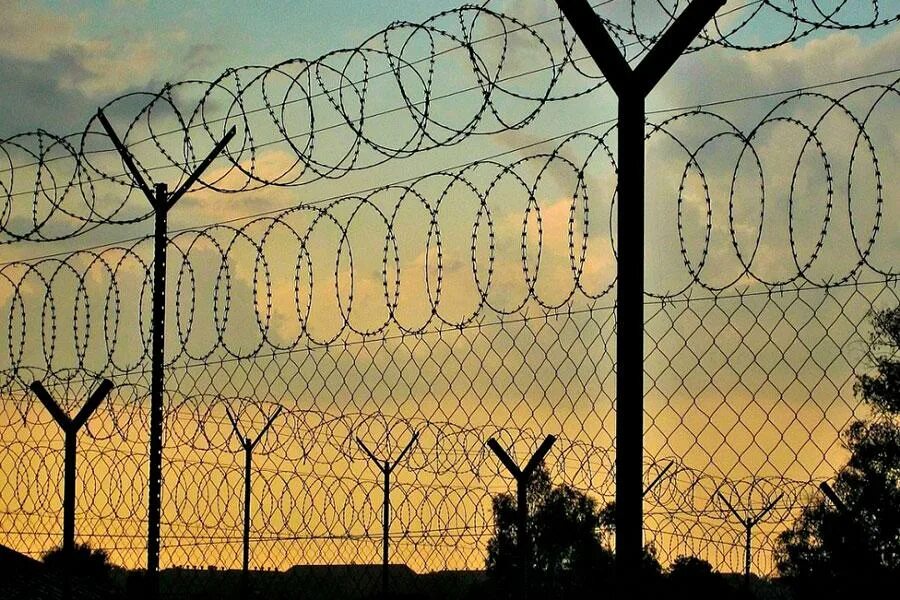 Пбб тест. Акл егоза-900. пбб акл. заграждение махаон-с150. проволока для ограждения колючая егоза.
