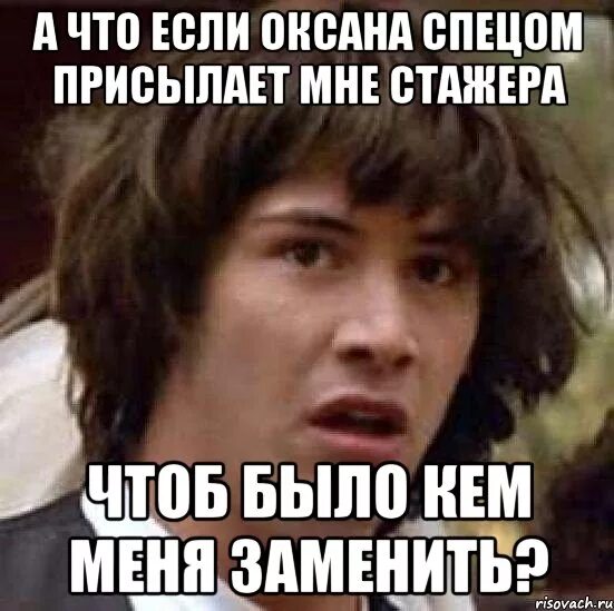 Приколы с котятами с озвучкой. Смешные коты до слез с озвучкой. Мемы про стажировку. Стажер мем. Стажер мемы.
