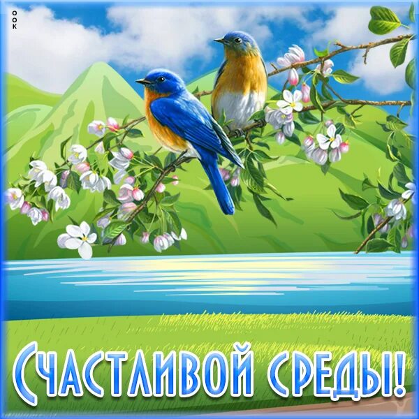 5 мая среда. Открытки с весенней средой. Открытки со средой. Открытки со средой весенние красивые.