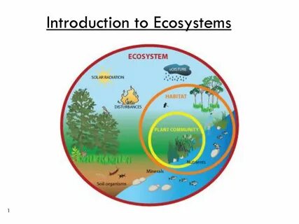 Environment cd
