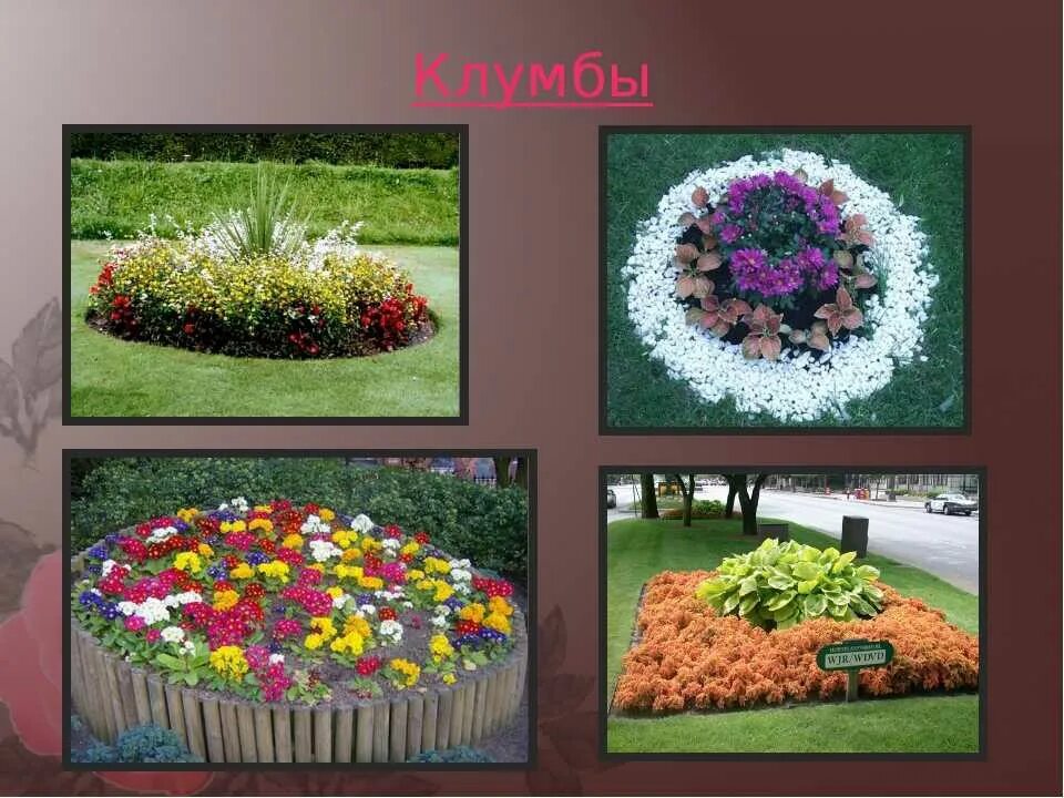 Темы цветников. Типы цветников. макет клумбы оригинальные. распознавание видов цветников. разметка круглой клумбы.