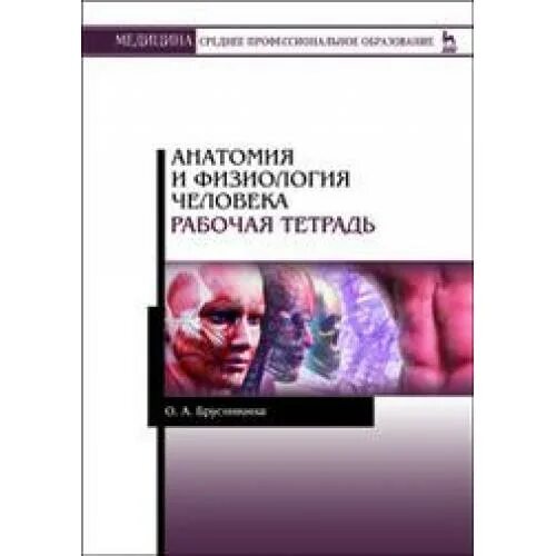 Рабочая тетрадь по анатомии. Рабочая тетрадь по анатомии