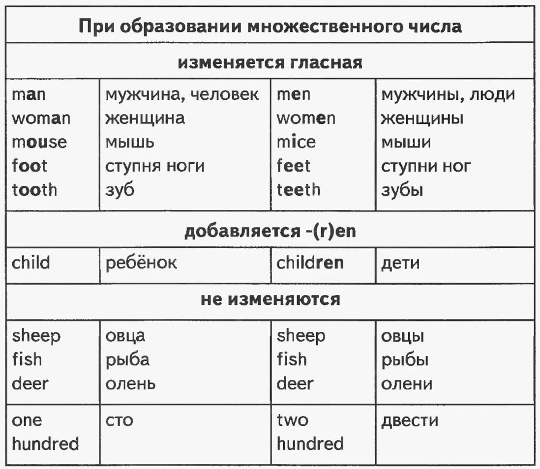 Правила английского языка. Грамматика по английскому языку. Правило по английскому языку. Английская грамматика в таблицах и схемах. Грамматика начальной школы английский