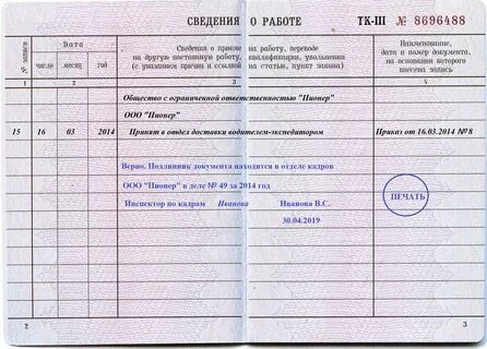 Ст 4 81
