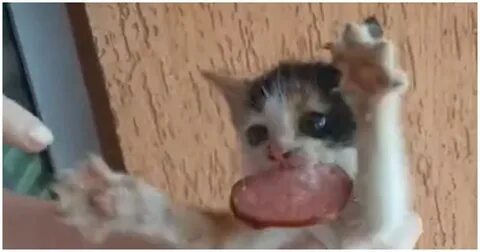 Готов рвать