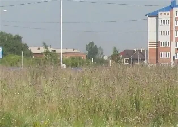 Отдам землю в аренду
