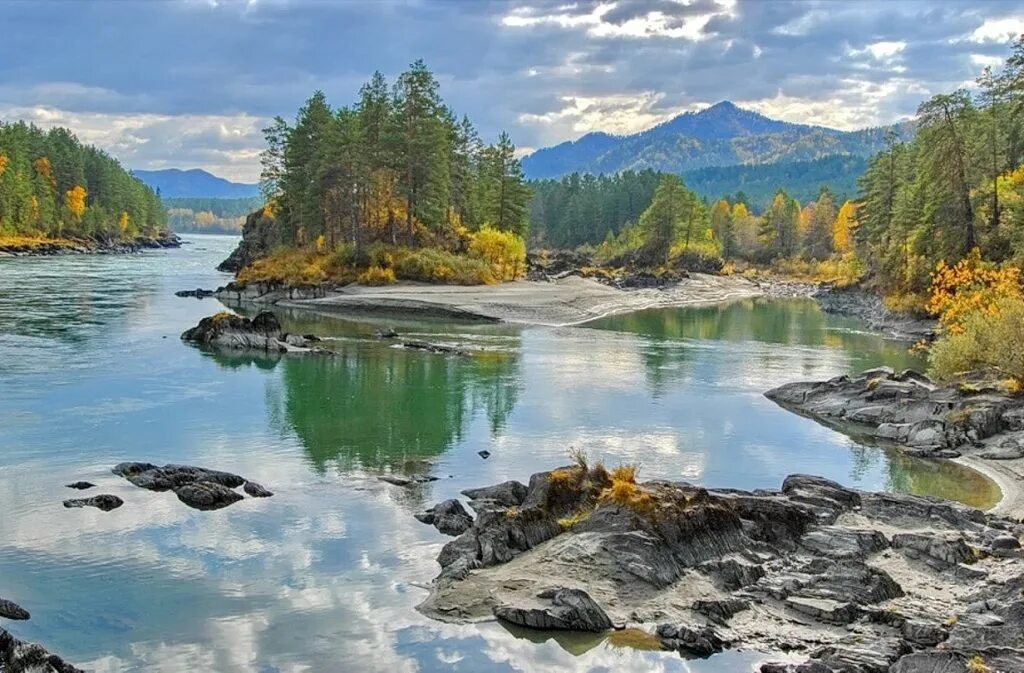 Кедровая падь река кедровая. Кедровая падь река кедровая. Река кедра. Горный алтай тайга. Озеро сосны.
