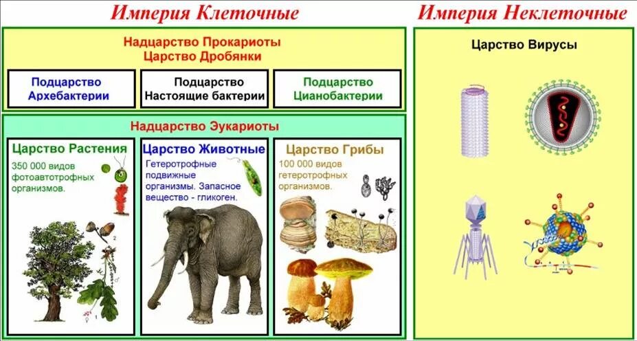 В животном царстве существует несколько веществ