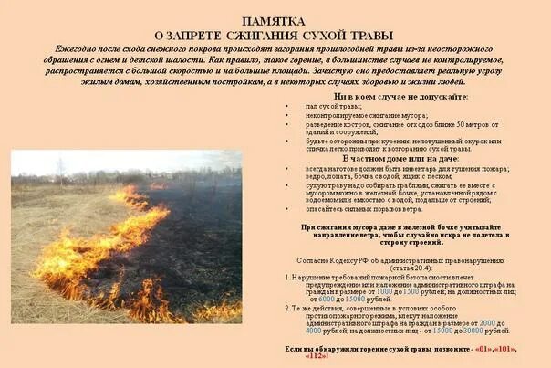 Сожженным значение