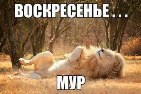 Полночь воскресенья