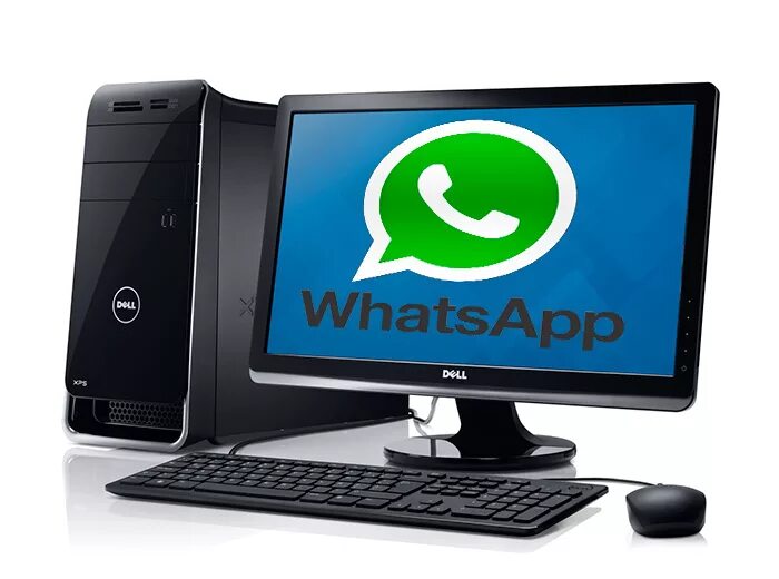 Црфеы ФЗЗ для компьютера. Вацап на компьютер. WHATSAPP для компьютера Windows. WHATSAPP установлен на компьютере.