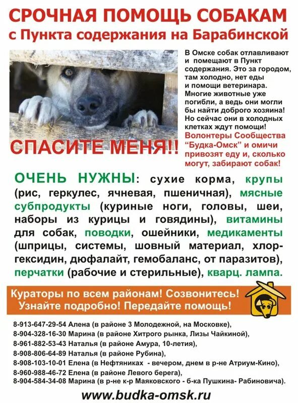 Почему нельзя собак в исламе. Содержание собак. условия содержания собак. хорошее содержание собаки. методы содержания собак.