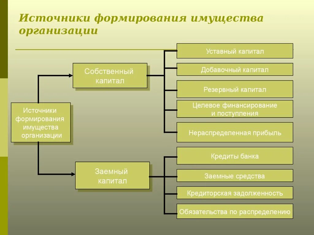 Инвентаризация капитала. Источники формирования имущества организации. Классификация источников формирования имущества организации кратко. Состав источников формирования имущества организации. Собственные источники формирования имущества.