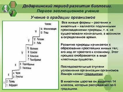 Додарвиновский период кратко