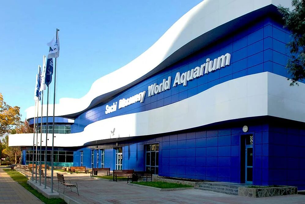 Океанариум в Адлере Sochi Discovery World Aquarium. Океанариум Сочи Ленина 219а/4. Сочи Дискавери ворлд аквариум. Sochi Discovery World Aquarium ул. Ленина, 219а/4, Сочи.