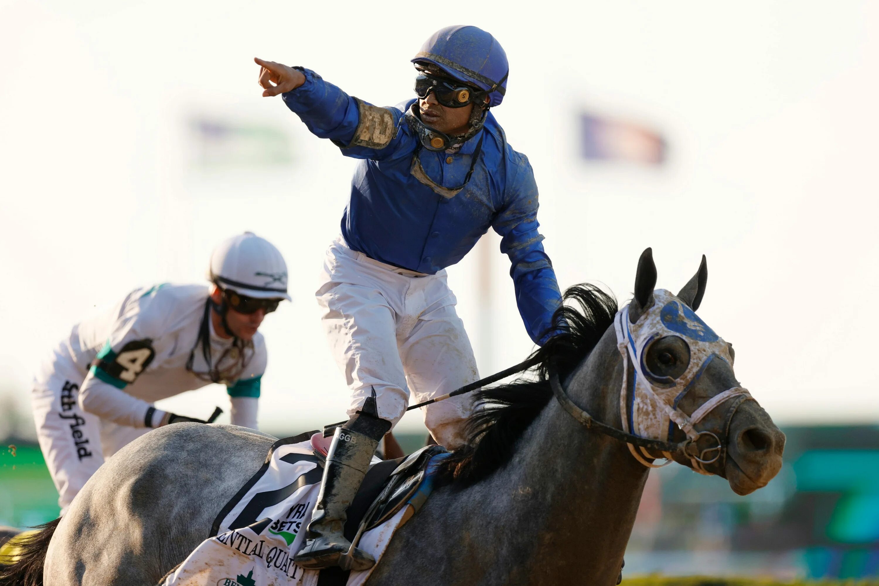 Expected to win. Getty images the Breeders.