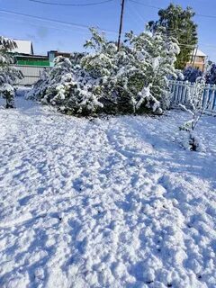 Покажу снег