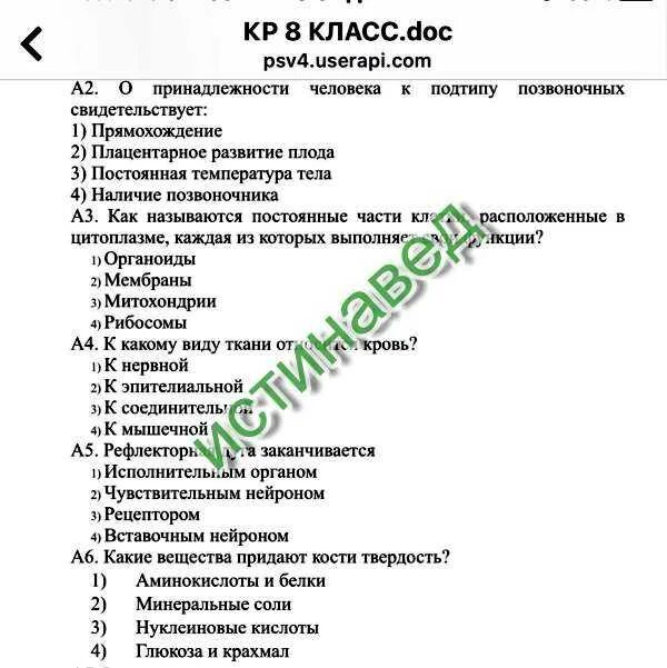 Тест по биологии. Тестирование по биологии 9 класс. Тесты по биологии 8 класс. Биология 9 класс тесты. Контрольная работа биология 6 класс 2 глава