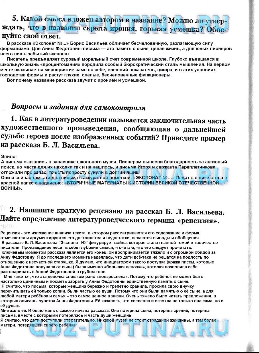 Что вкладывает автор