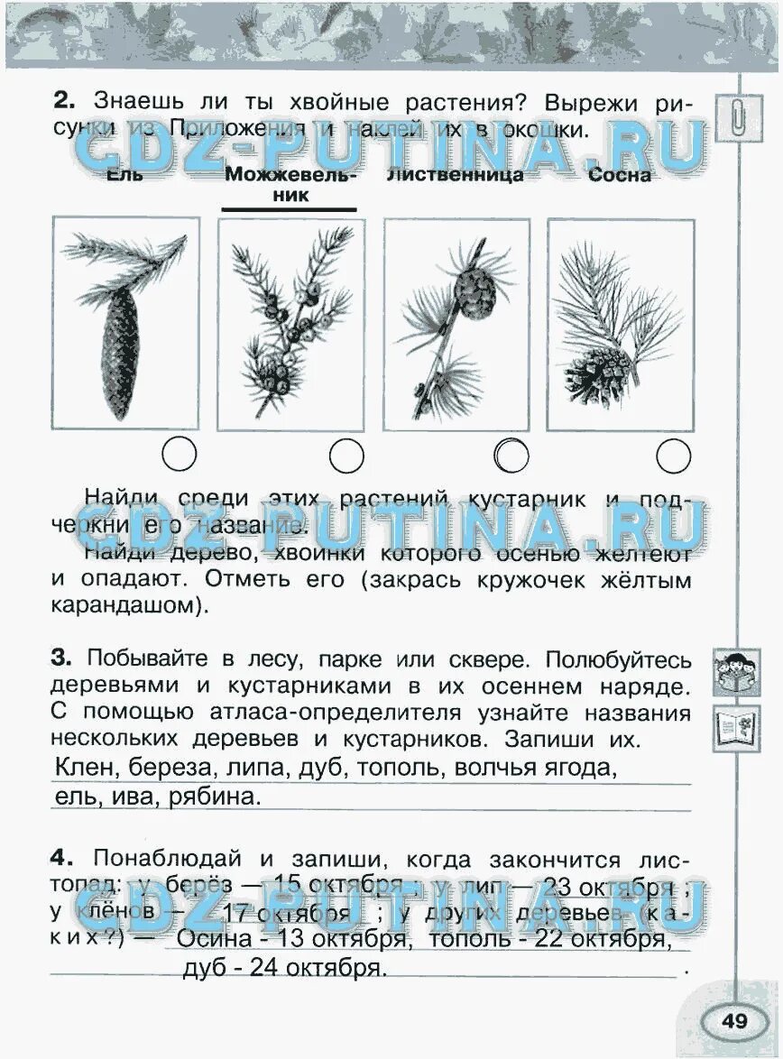 Когда листопад у берез заканчивается лип