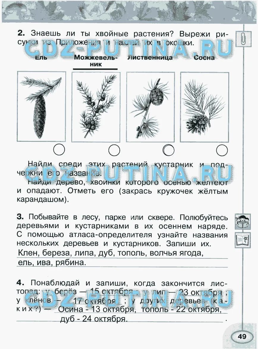 Окр мир стр 49. Окружающий мир 2 класс рабочая тетрадь 1 часть Плешаков Новицкая. Окружающий мир рабочая тетрадь Плешаков Новицкая второй класс. Окружающий мир 3 класс рабочая тетрадь 2 часть Плешаков Новицкая стр 49.