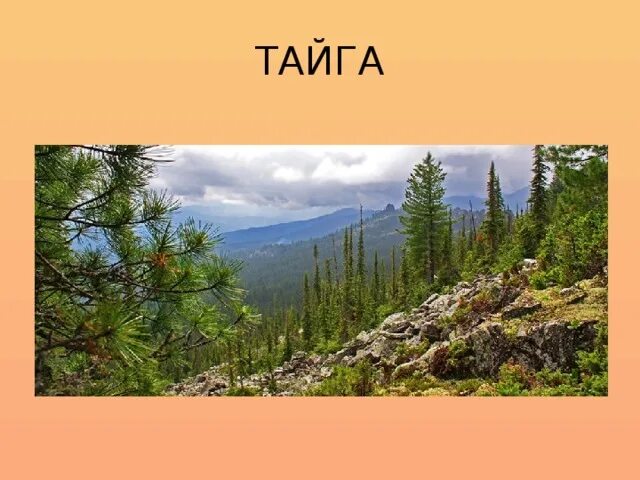 Проект на тему природа россии Россия наша Родина скачать презентацию