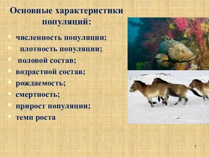 Среда жизни популяции