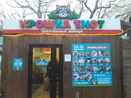 Енот серпухов