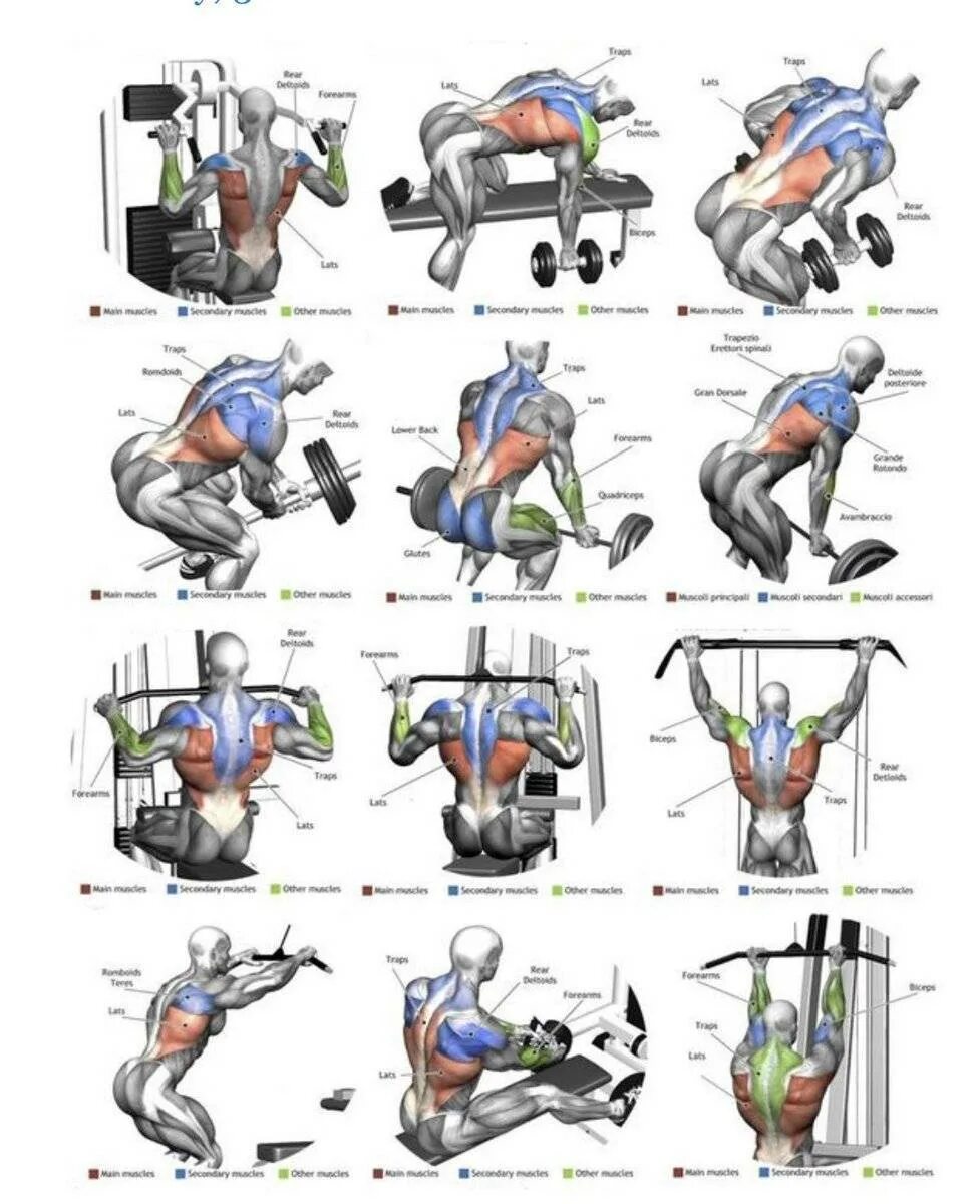 Силовые упражнения для спины. Упражнения на спину в тренажерном зале для мужчин. Тренировка плеч в тренажерном. Упражнения на спину и плечи в тренажерном зале.