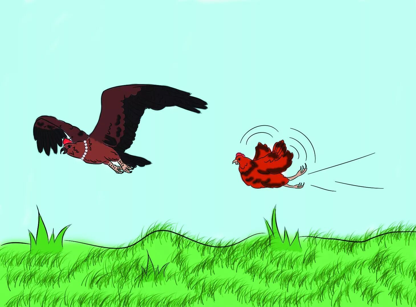 Курица и петух раскраска. Ястреб и петух. Курица и ястреб башкирская сказка. Курица и ястреб башкирская сказка. Ястреб и петух башкирская сказка.