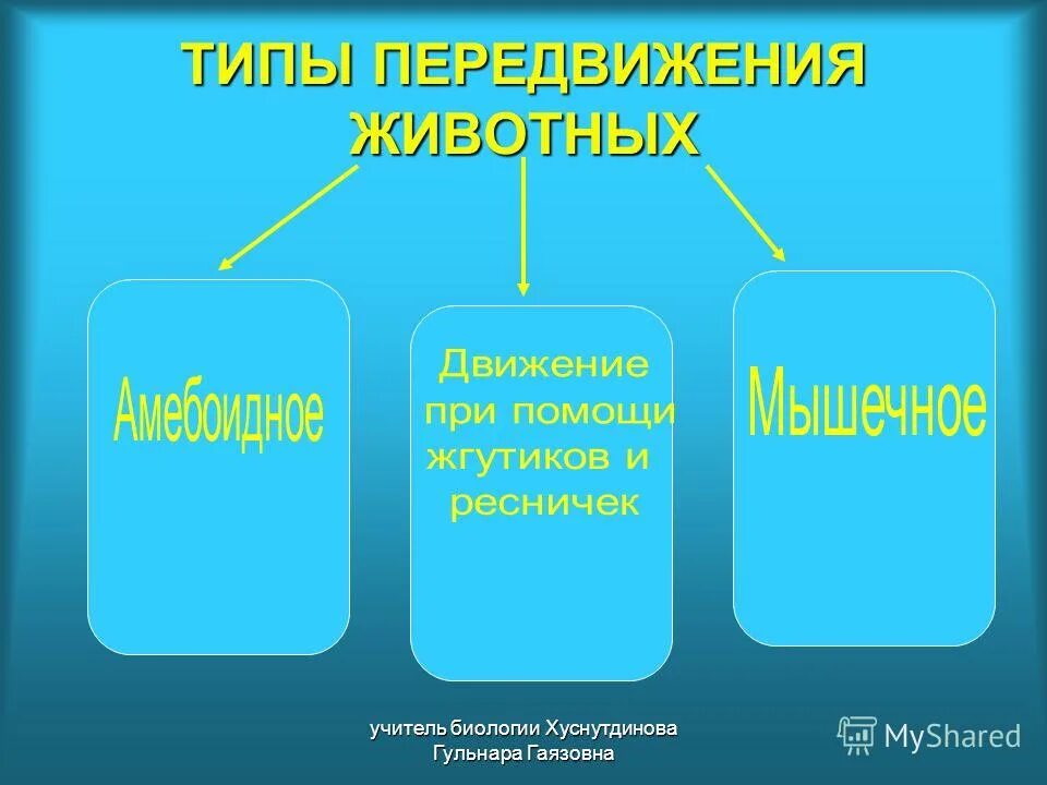 Способы передвижения живых организмов. Движение животныхтвблица. Способы передвижения животных таблица. Типы передвижения животных. Способы движения животных биология.
